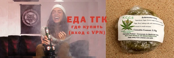 шишки Инта