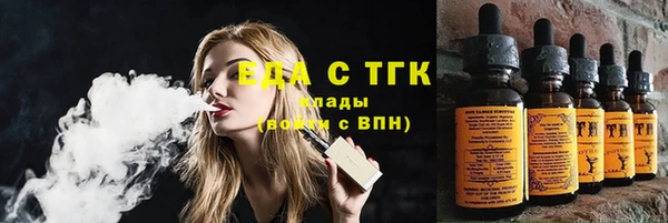 шишки Инта