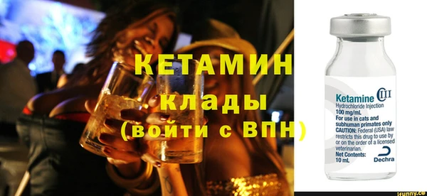 шишки Инта
