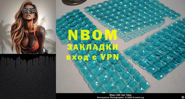 шишки Инта