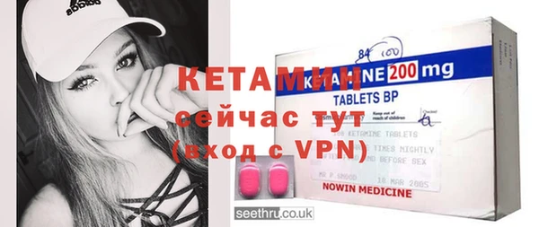 шишки Инта
