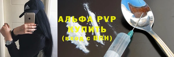 шишки Инта
