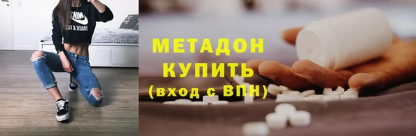 шишки Инта
