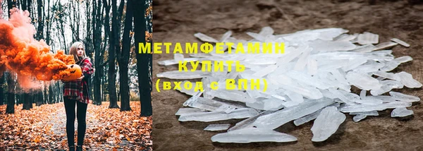 шишки Инта