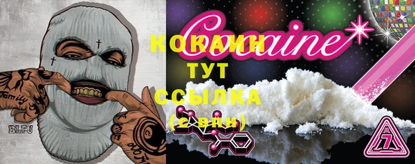 шишки Инта