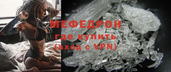шишки Инта