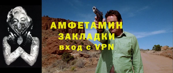 шишки Инта