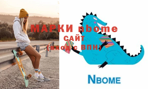 шишки Инта
