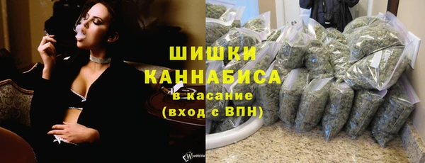 шишки Инта